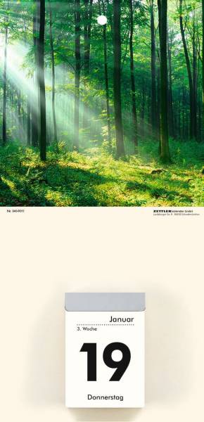 ZETTLER Kalenderrückwand Landschaften 660061/340-0001 14,5x30cm