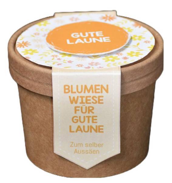 WUNDERLE Blumenwiese zum Aussäen Gute Laune 41729