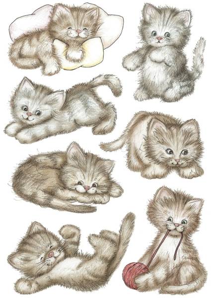 HERMA Schmucketikett drolliges Kätzchen 21 St. 3477 Decor