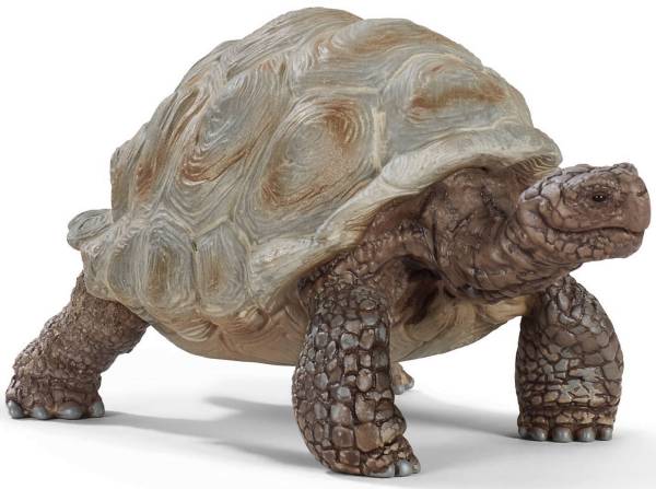 SCHLEICH Spielzeugfigur Riesenschildkröte 14824