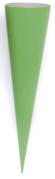 GOLDBUCH Bastelschultüte 70cm grün 97812