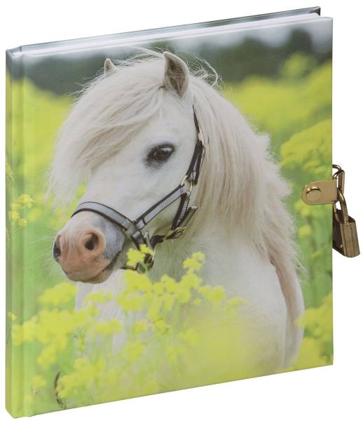 PAGNA Tagebuch Kleines Pony 20241-15
