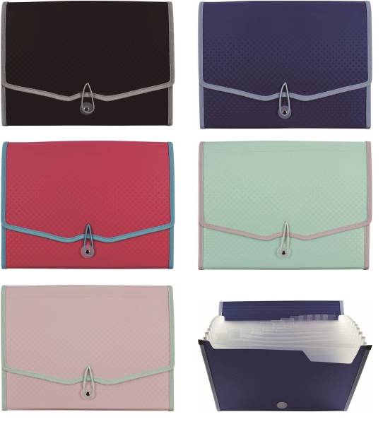 STYLEX Fächermappe A4 Kunststoff 43566 fbg.sortiert