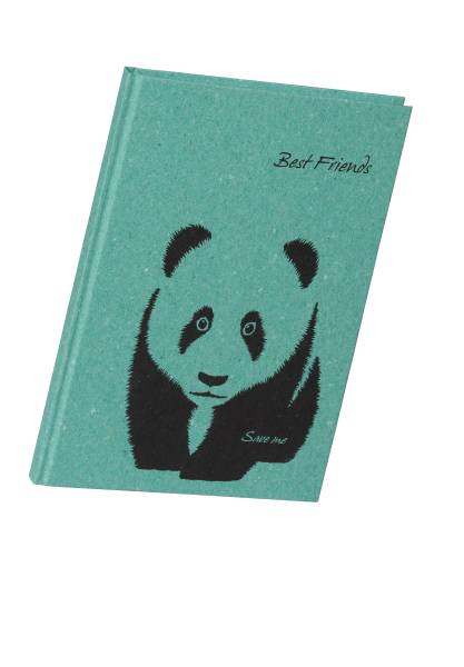 PAGNA Freundebuch Panda Save me mint 20366-17