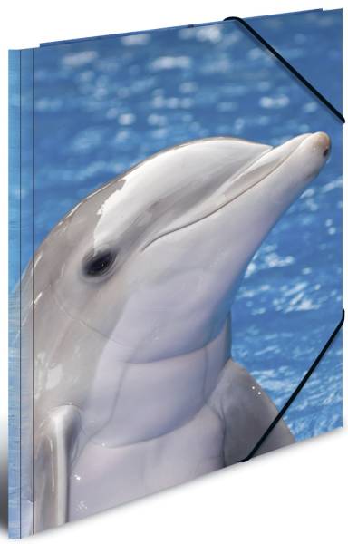 HERMA Gummizugmappe A4 Delfin 7141 PP
