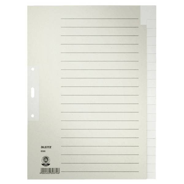 LEITZ Register A4 blanko grau 6096-00-85 Papier 20tlg.