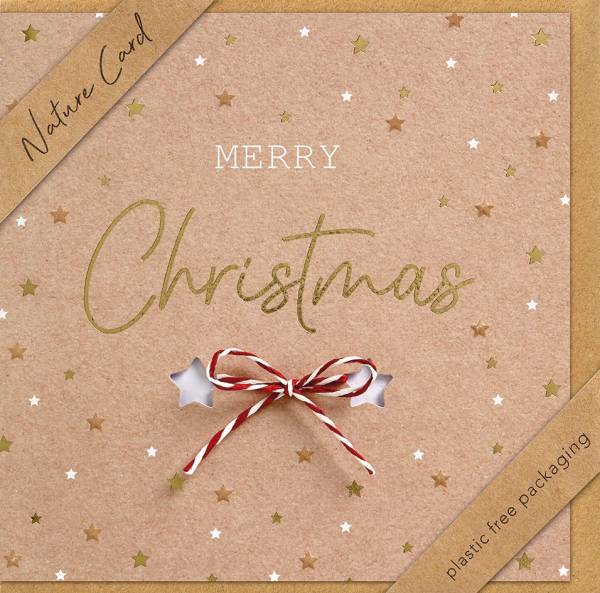 BSB Weihnachtskarte 22-6919-2 Nature Card Bild