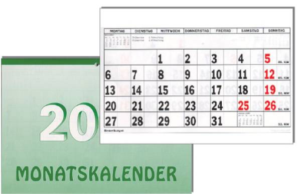 Monatsterminkalender A4 ENIG 5001 Pappe 2024