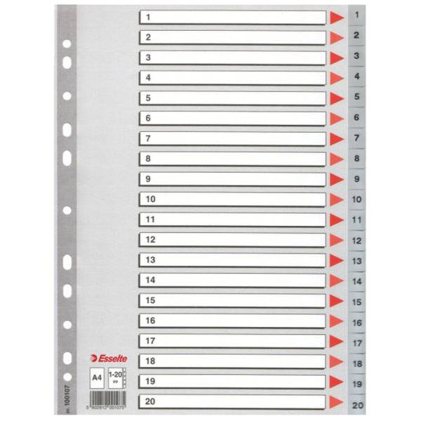 ESSELTE Register A4 1-20 grau 100107 Plastik 20tlg.