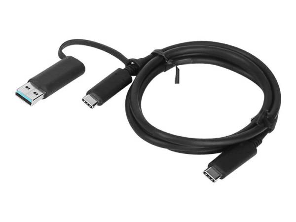 Lenovo Lenovo Hybrid USB-C auf USB-A Kabel 4X90U90618