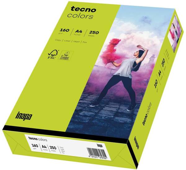 TECNO Kopierpapier A4 160g 250BL p.hellgrün 2100011370 Colors