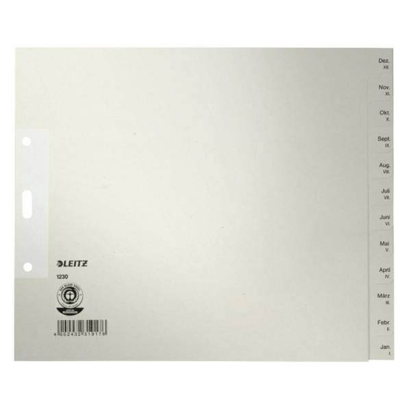 LEITZ Register A4 5ST grau 12303085 Papier 12tlg.