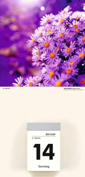ZETTLER Kalenderrückwand Blumen 660063/342-0001 14,5x30cm