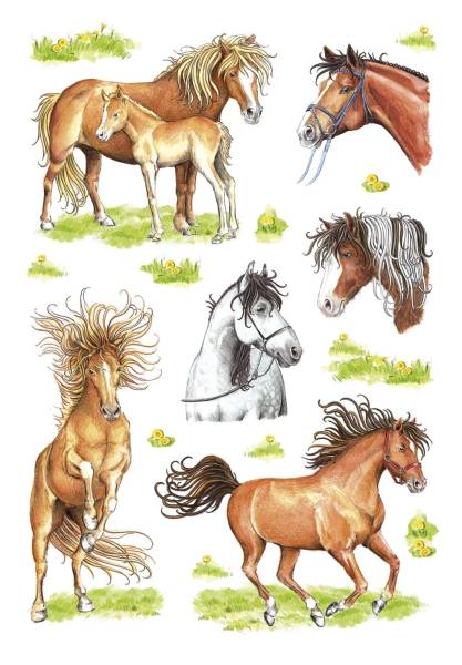 HERMA Schmucketikett gezeichnete Pferde 18 St. 3307 Decor