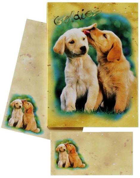 DFW Briefpapiermappe Kinder 10/10 farb. 180350 Hundewelpen