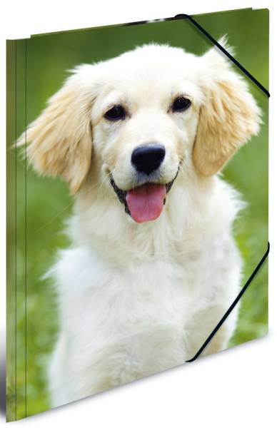 HERMA Gummizugmappe A4 Hund 7139 PP